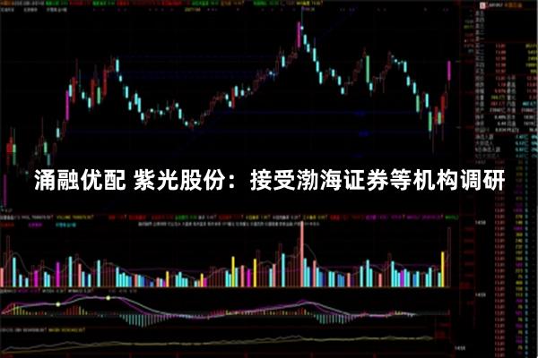 涌融优配 紫光股份：接受渤海证券等机构调研