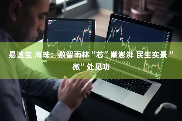 易速宝 海珠：数智雨林“芯”潮澎湃 民生实景“微”处见功